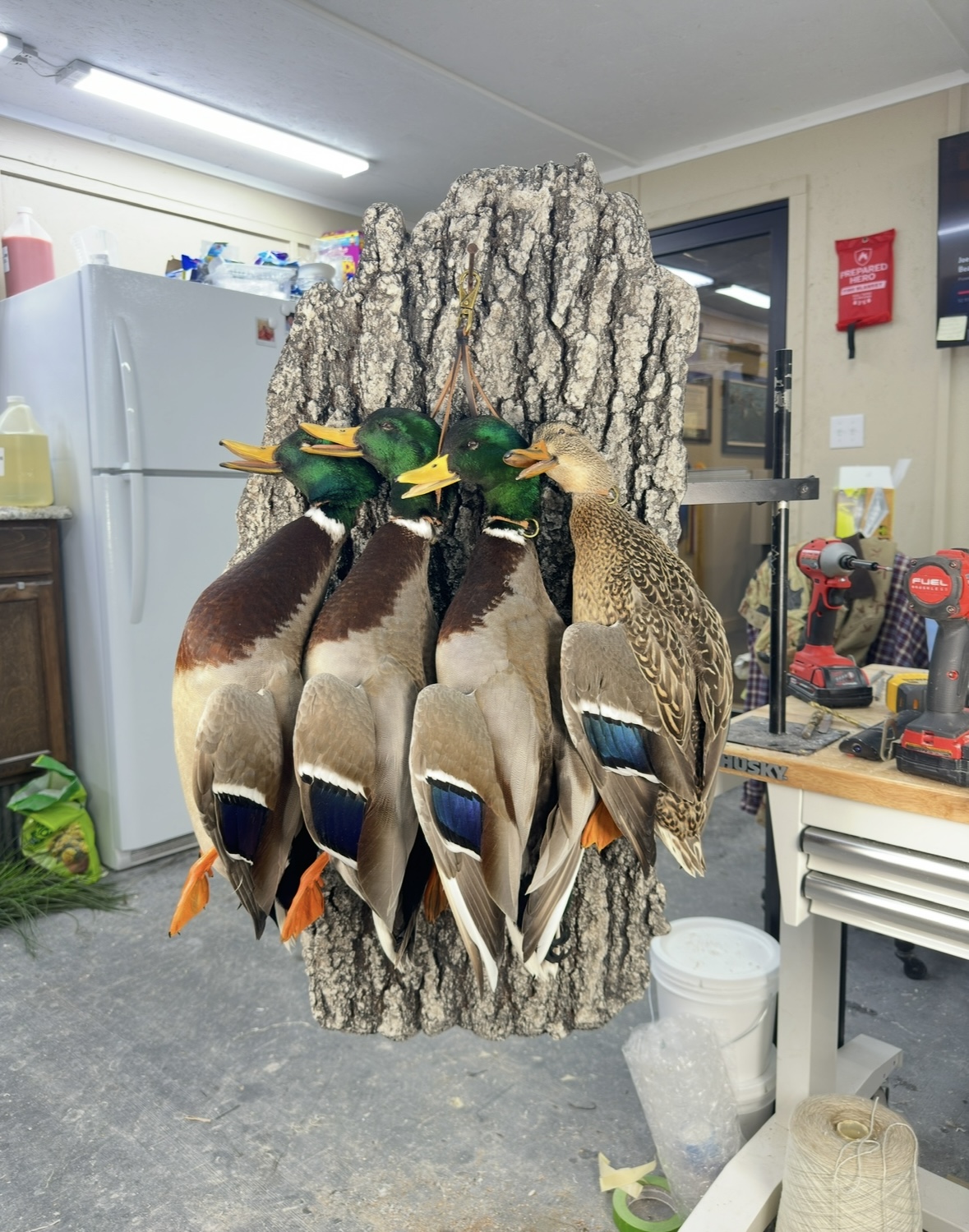 Waterfowl mount by E. Star Waterfowl Taxidermy.