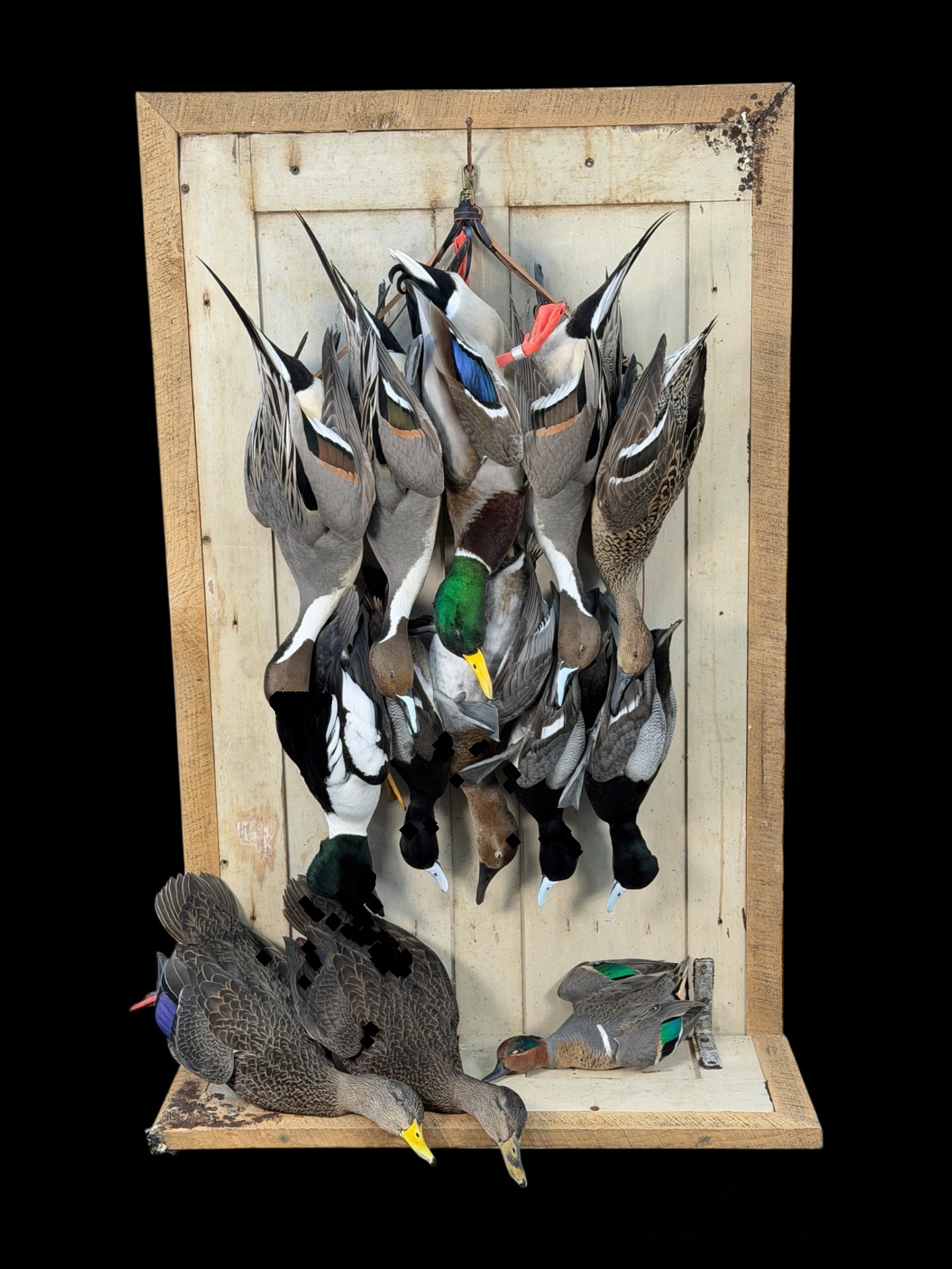 Waterfowl mount by E. Star Waterfowl Taxidermy.