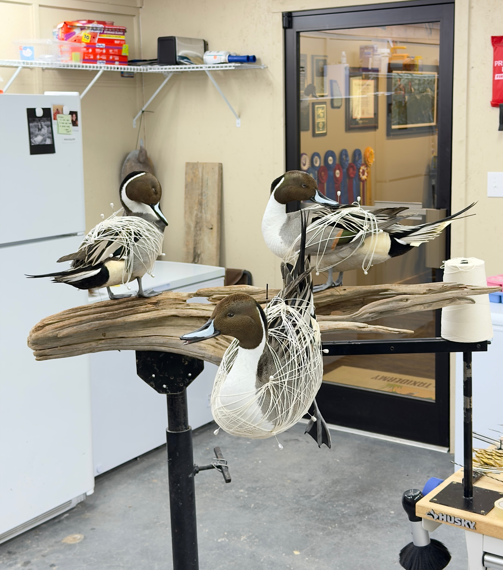 Waterfowl mount by E. Star Waterfowl Taxidermy.